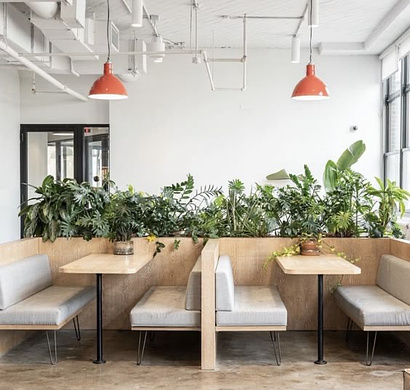 Кафе в отдельно стоящем здании. Прибыль 286 тр/мес