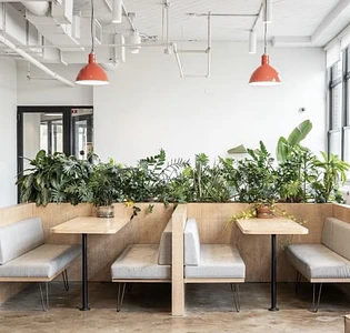 Кафе в отдельно стоящем здании. Прибыль 286 тр/мес 1