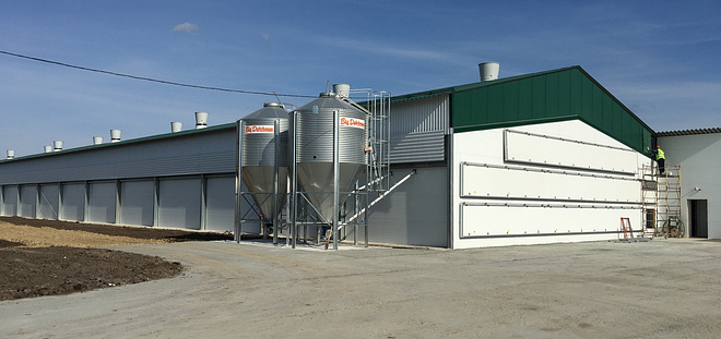 Птицефабрика. Крестьянское хозяйство.